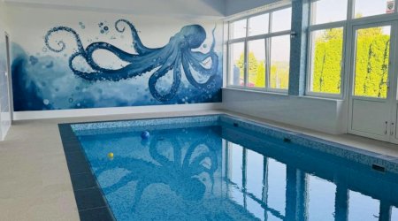 Basen solankowy w Szemudzie