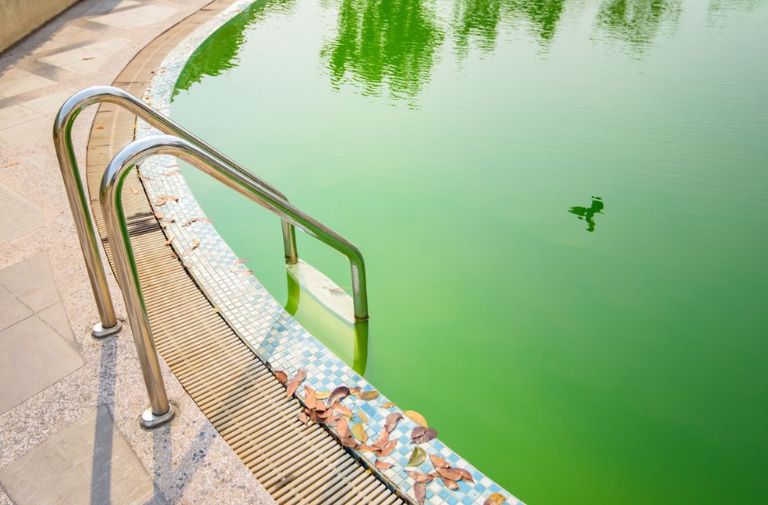 Zielona woda w basenie przydomowym